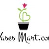 Vases Logo