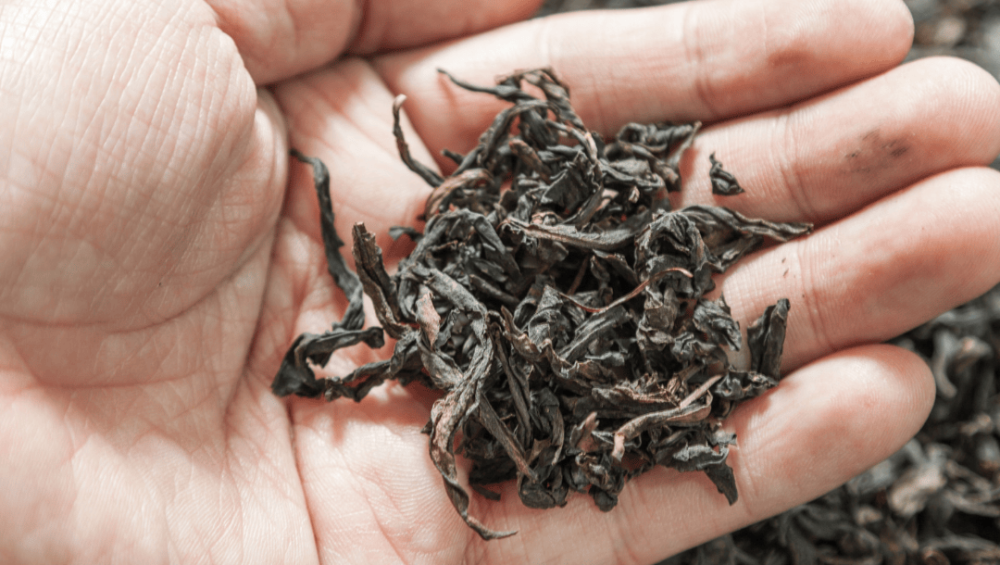 Oolong Tea best price in bangladesh