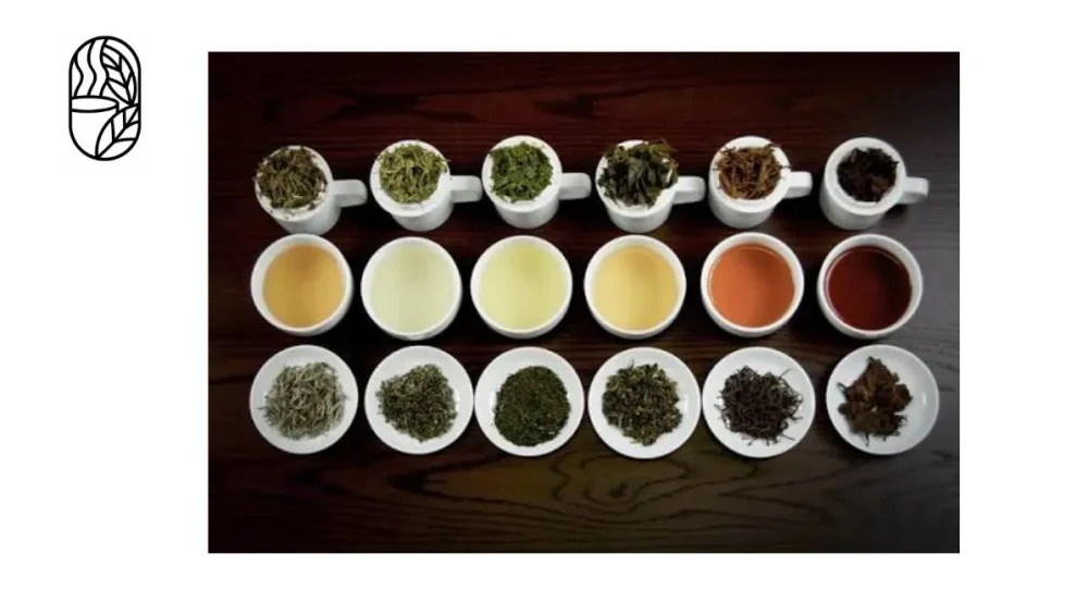 Leaf Tea Catagory