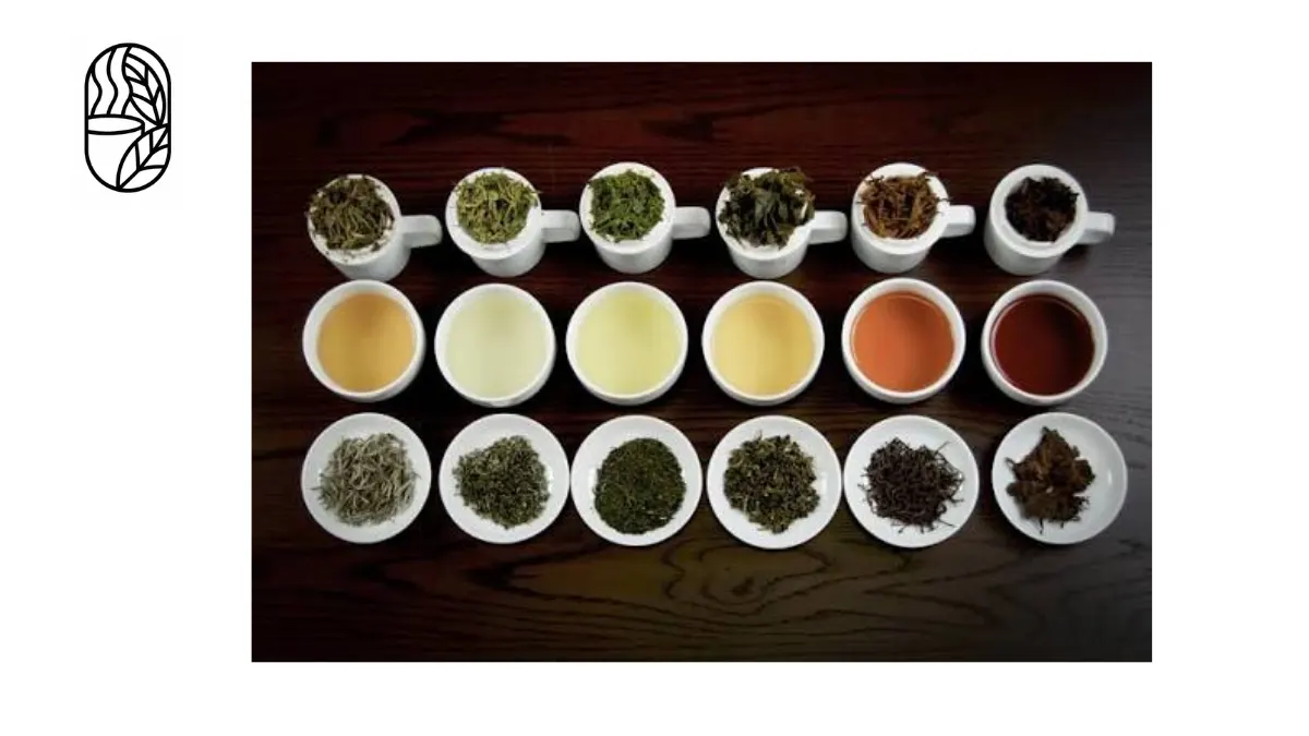 Leaf Tea Catagory