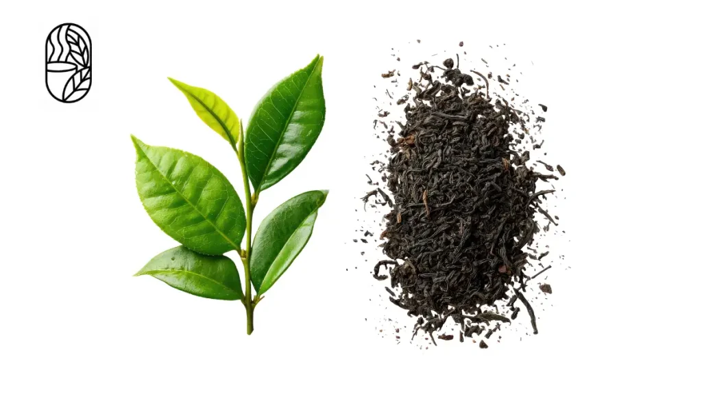 Leaf Tea in bangladesh