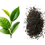Orthodox Tea Price in Bangladesh