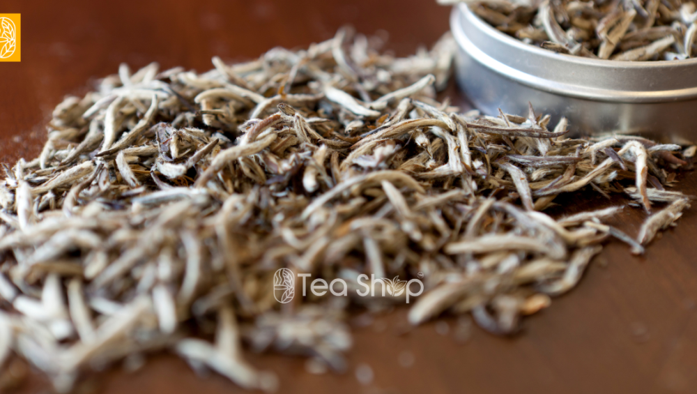 White Tea Bangladesh