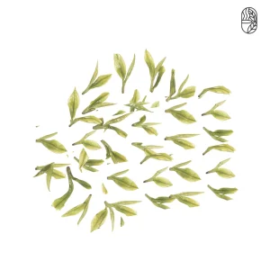 Dragon Well Green Tea Price in Bangladesh