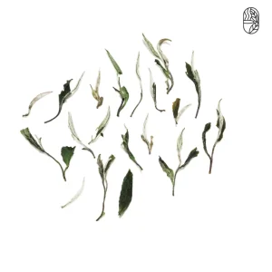 Premium Bai Mu Dan White Tea Premium Bai Mu Dan White Tea