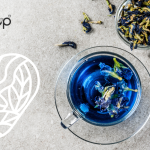 Blue Tea in Bangladesh
