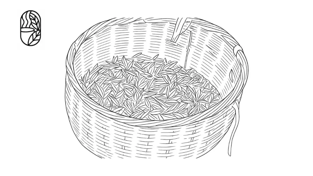 Longjing tea price in bangladesh