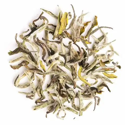 Shop White Tea