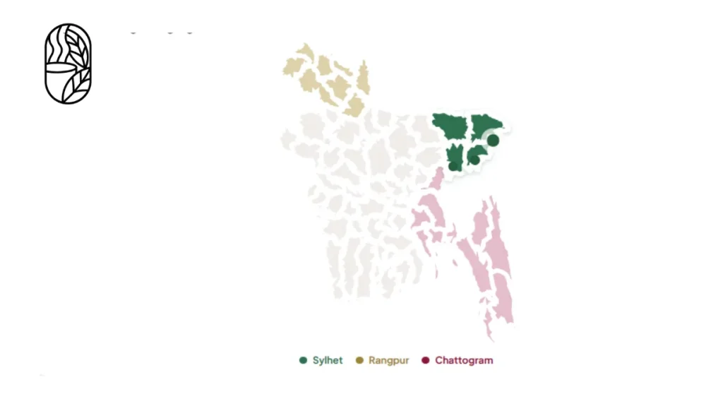 Bangladesh Tea Origin Guide for New Buyers