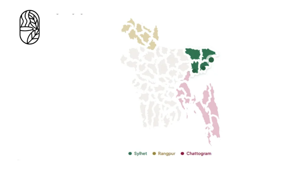 Bangladesh Tea Origin Guide for New Buyers