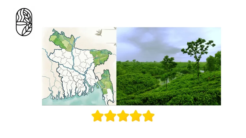 Bangladesh Tea Regions