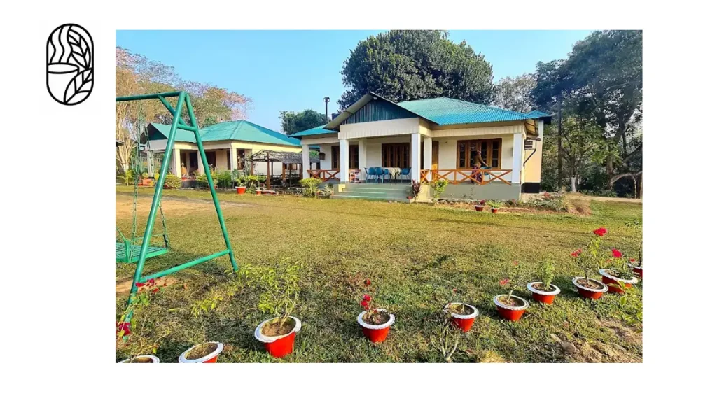Bangladesh tea production process
