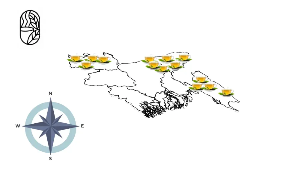 Bangladesh tea regions including Sreemangal Chattogram Panchagarh and Lalmonirhat tea gardens
