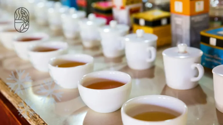 Best Tea for Every Season in Bangladesh