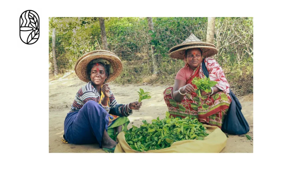 When people search for the best tea in Bangladesh