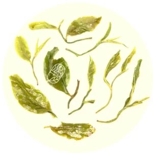 Alternative dry-leaf close-up