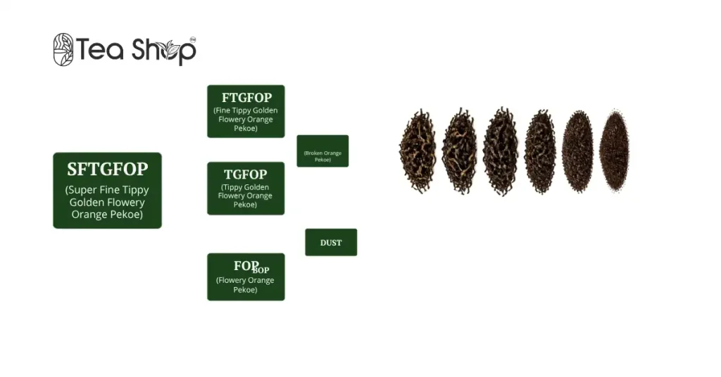 Tea grade is a classification applied to made tea after processing and sorting